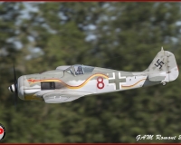 TSR Watermark - 0513